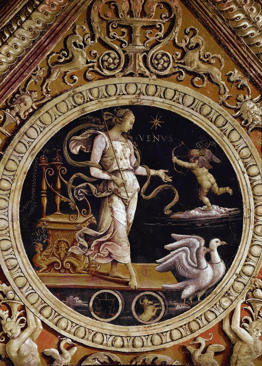 维纳斯的寓言式表现（壁画 作者 彼得罗·佩鲁吉诺（Pietro Perugino）
