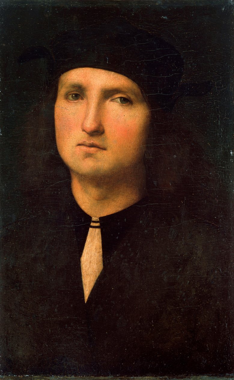 1495年至1500年之间的年轻人肖像。 作者 彼得罗·佩鲁吉诺（Pietro Perugino）