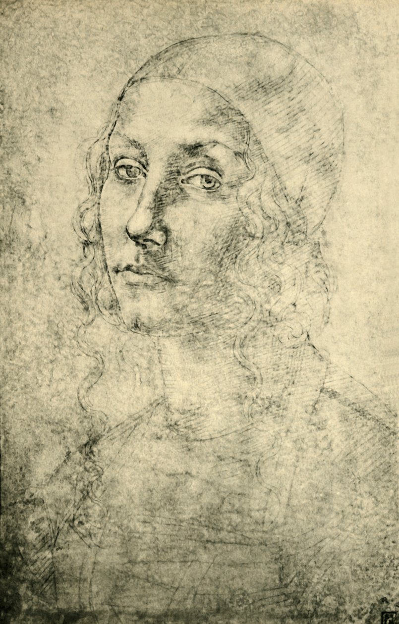 1943年15月下旬至16世纪初，女人的画像。 作者 彼得罗·佩鲁吉诺（Pietro Perugino）