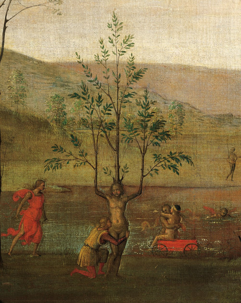 女树人，爱情与贞操的斗争细节 作者 彼得罗·佩鲁吉诺（Pietro Perugino）