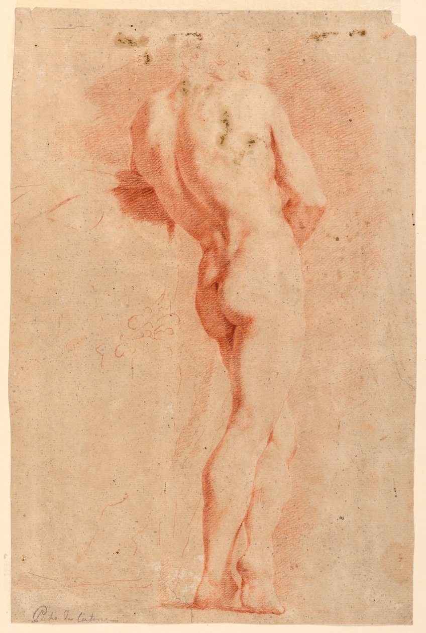 人物研究 作者 Pietro da Cortona