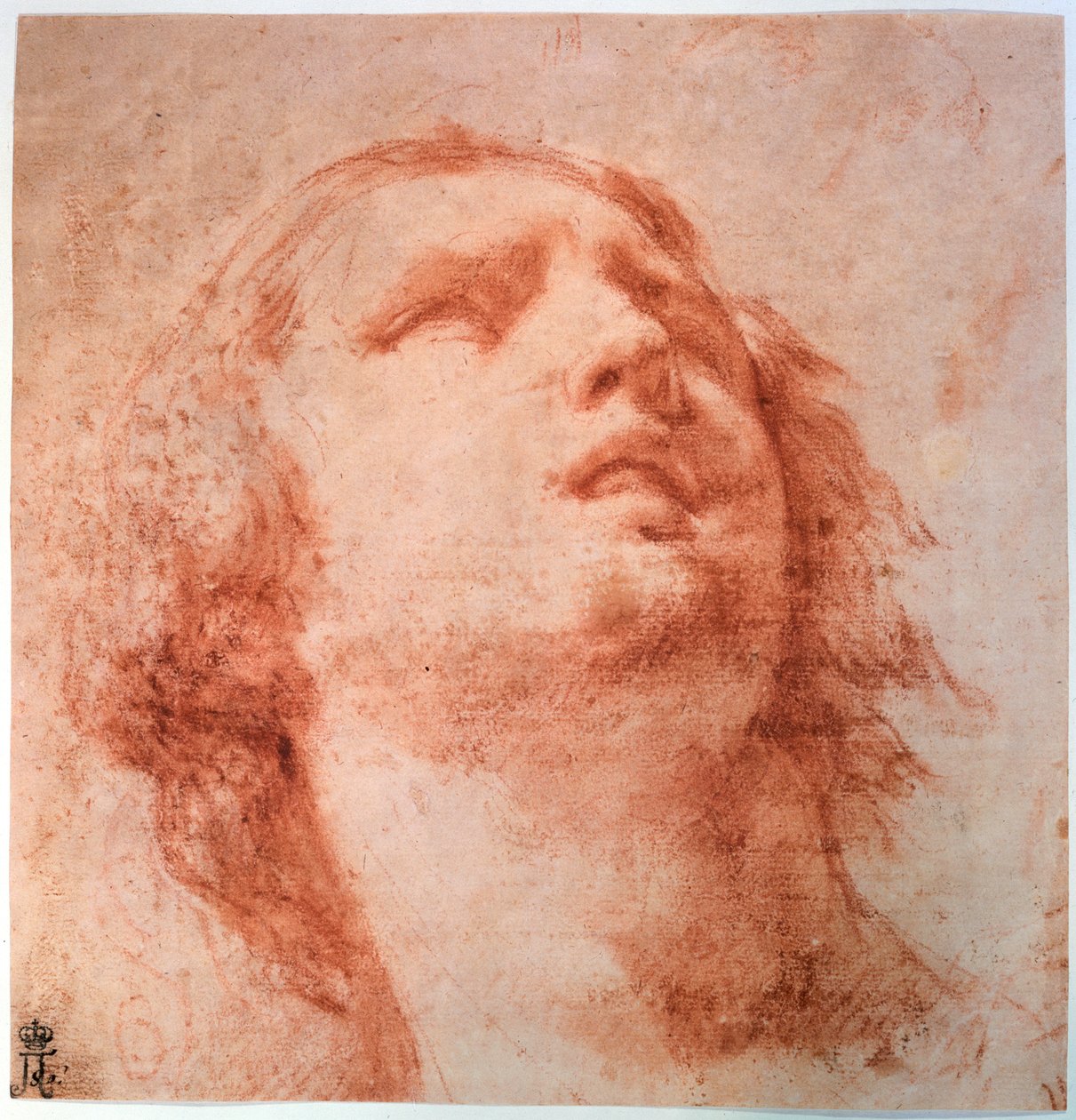 仰望一个女人的头部研究，十七世纪 作者 Pietro da Cortona