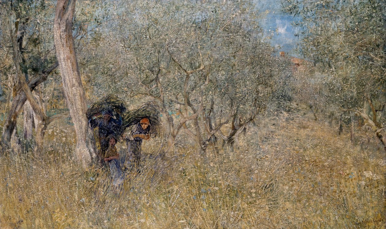 普利尼奥-诺梅里尼（1866-1943）的《在橄榄树中》，布面油画，60x100厘米 作者 普林尼奥·诺梅利尼