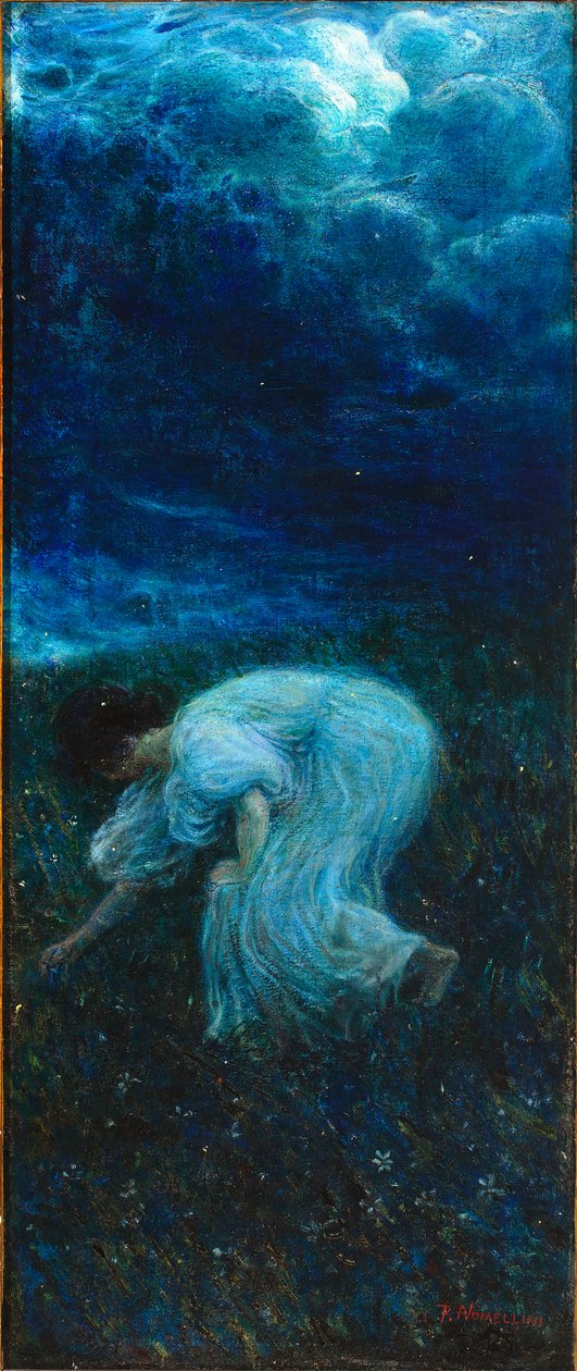 萤火虫，1898-99年 作者 普林尼奥·诺梅利尼