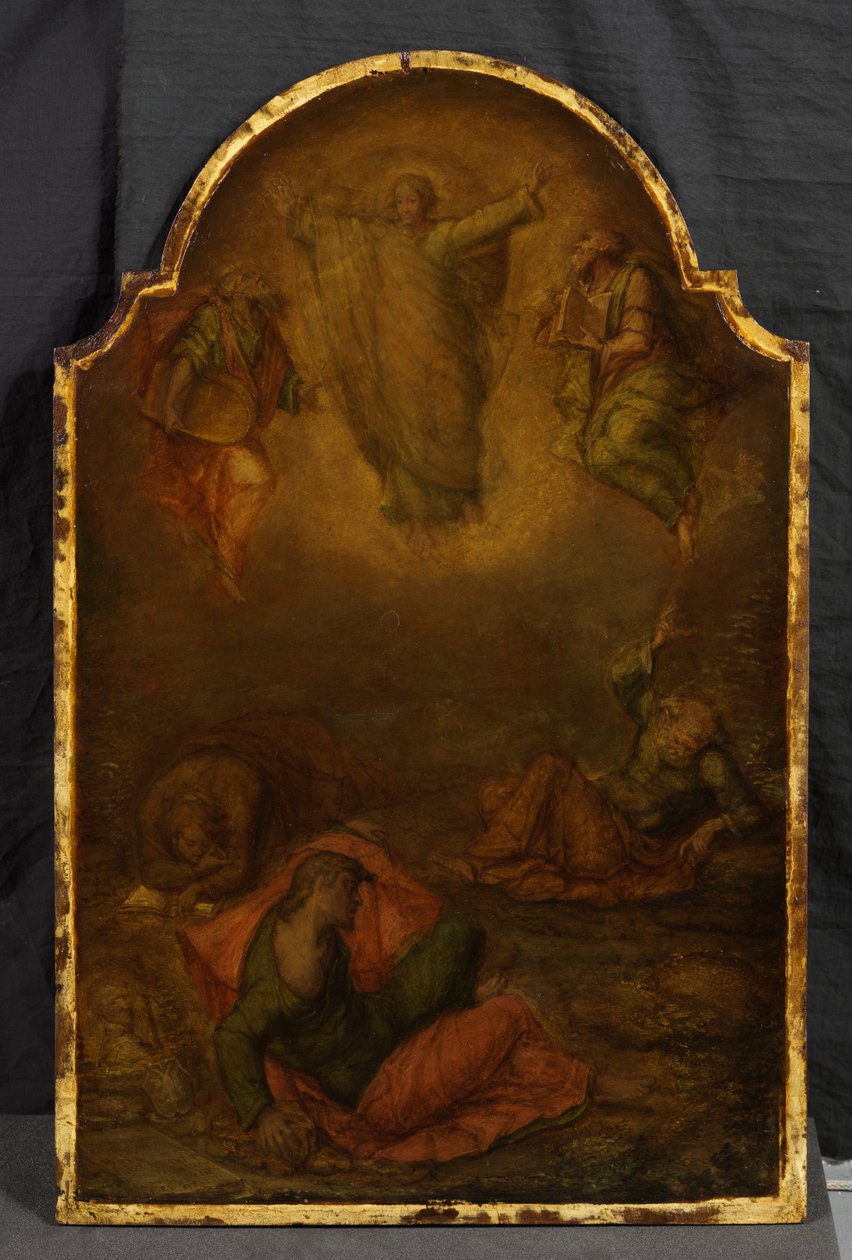 变形 作者 Polidoro da (attr. to) Caravaggio