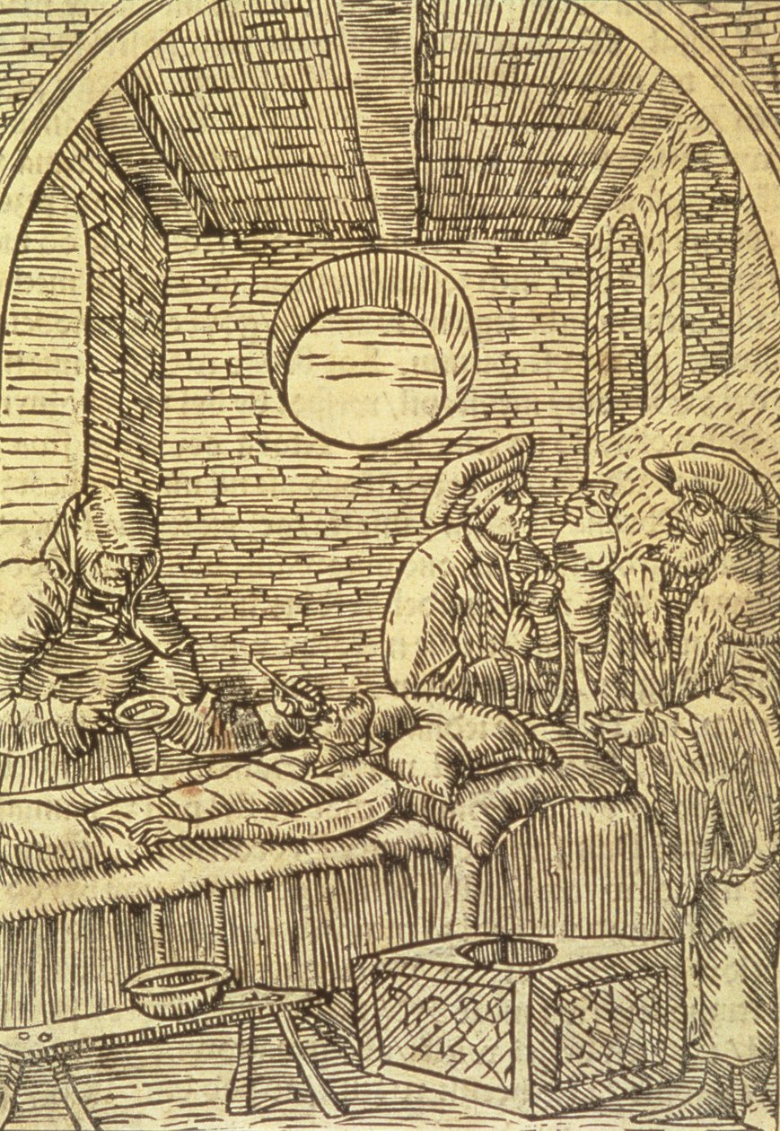 管理药用植物，1534 作者 波兰学校