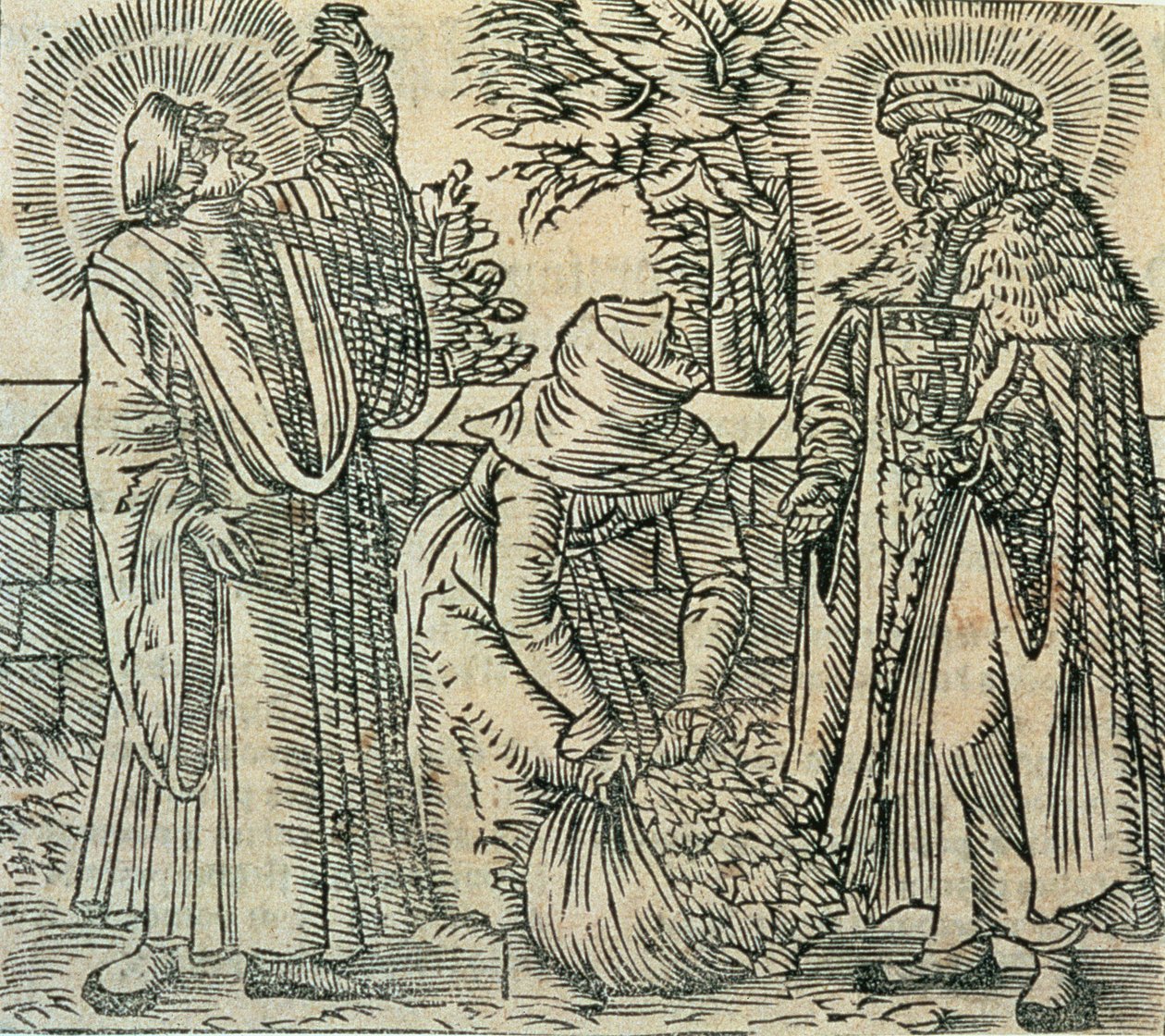 收集药草，1534年 作者 波兰学校