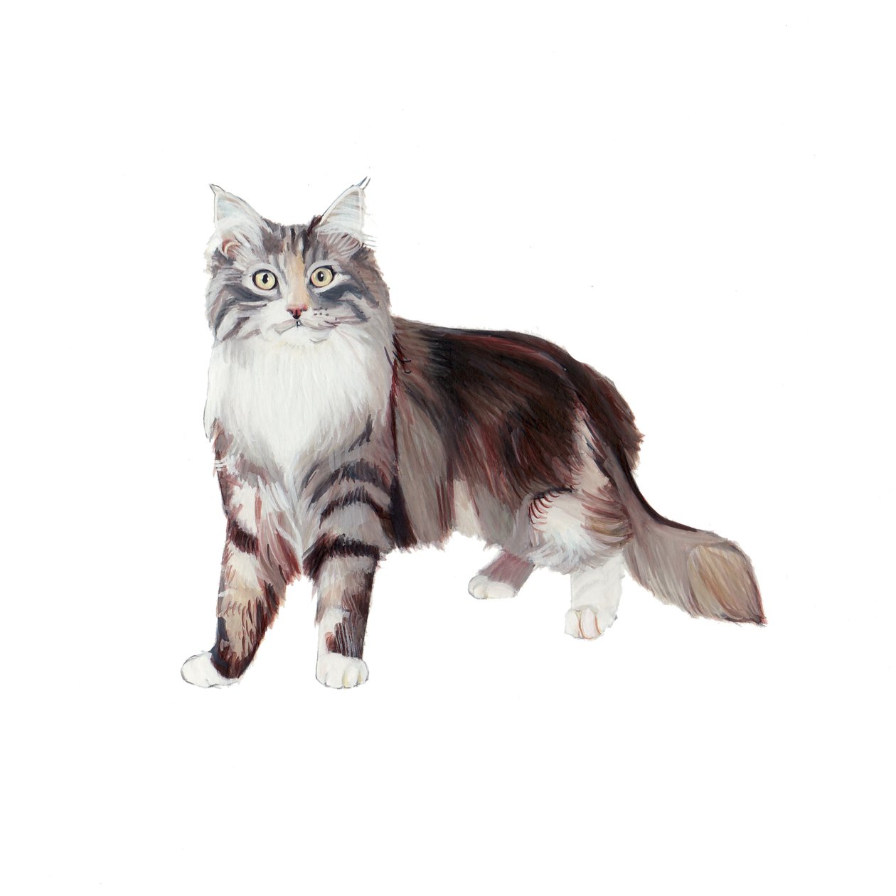 海洋浣熊猫，2014 年（纸上水彩和水粉画） 作者 