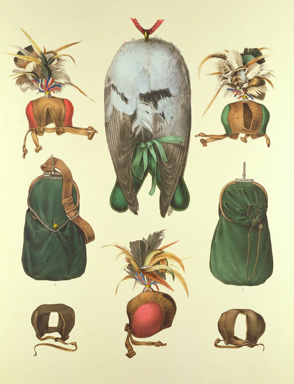 Falconry的设备，来自H. Schlegel和AH Verster de Wulverhorst的&39;Traite de Fauconnerie&39;，1844-53 作者 波特曼和范·伍