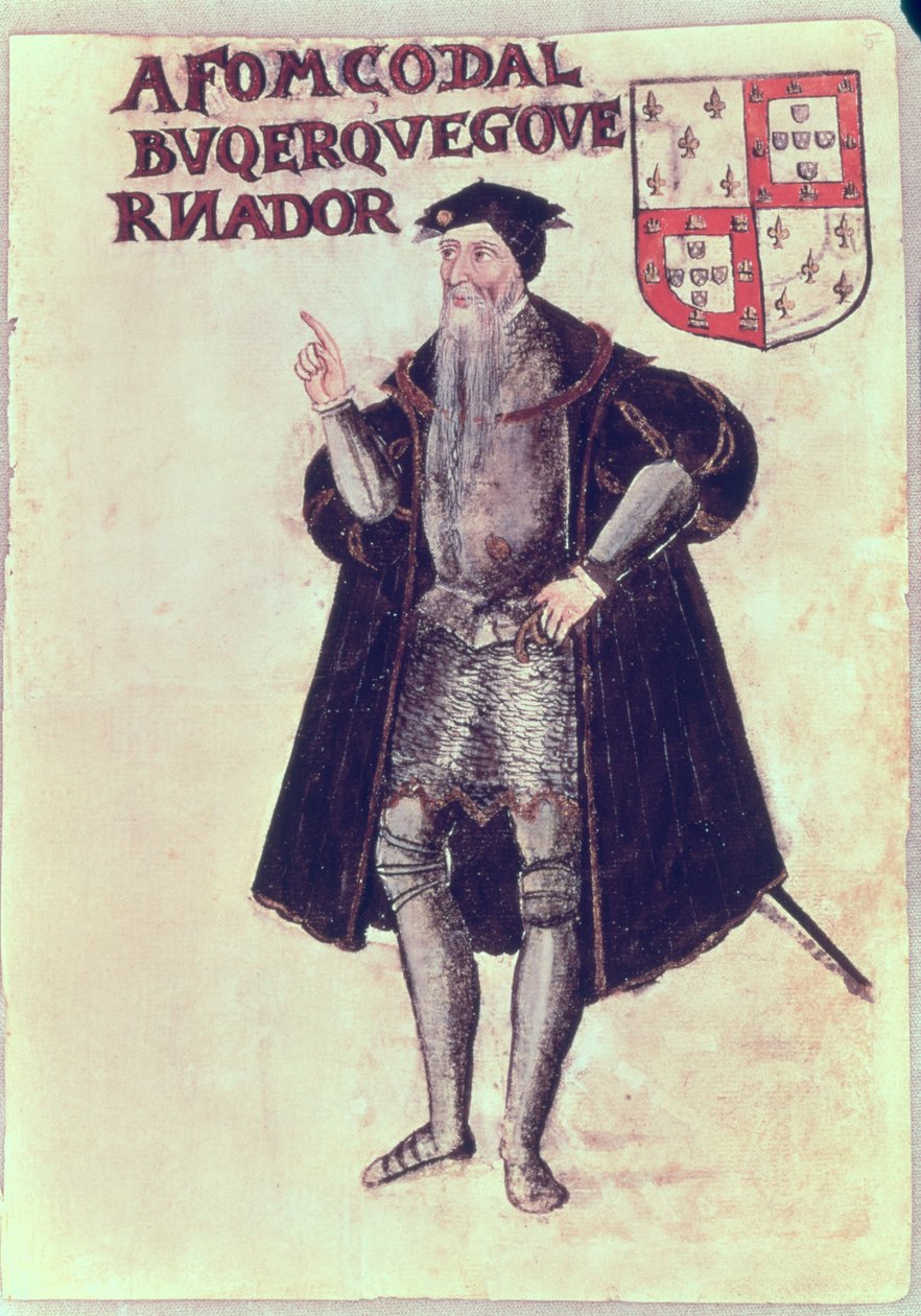 Affonso d&39;Albuquerque（1453-1515），印度的葡萄牙总督 作者 葡萄牙语学校