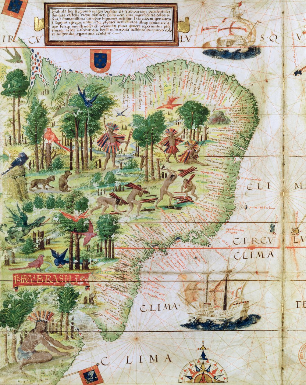 来自Pedro Reinel的&39;Miller Atlas&39;的巴西，1519年（细节75615） 作者 葡萄牙语学校