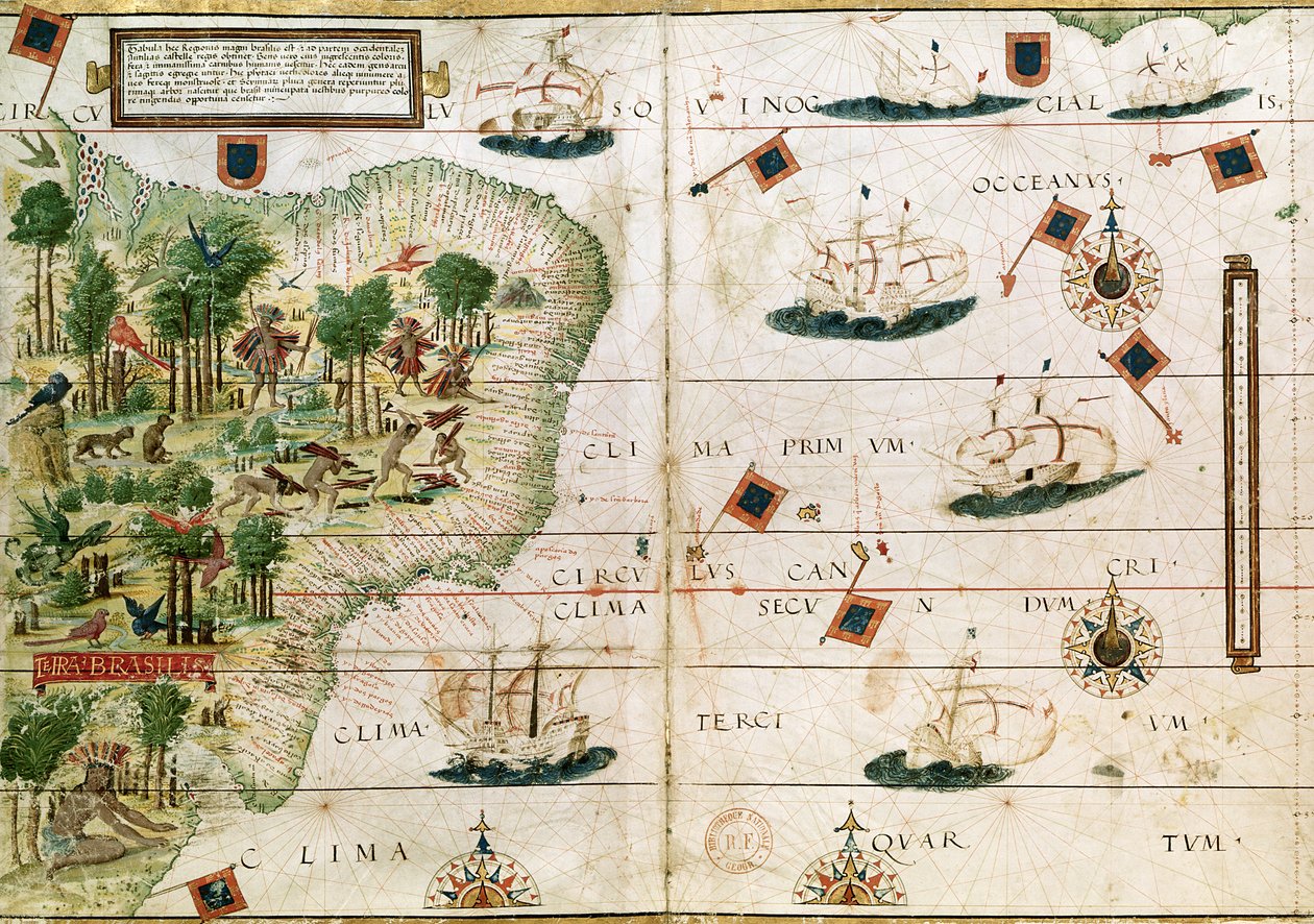 来自Pedro Reinel的&39;Miller Atlas&39;的巴西，1519年（详见199955） 作者 葡萄牙语学校