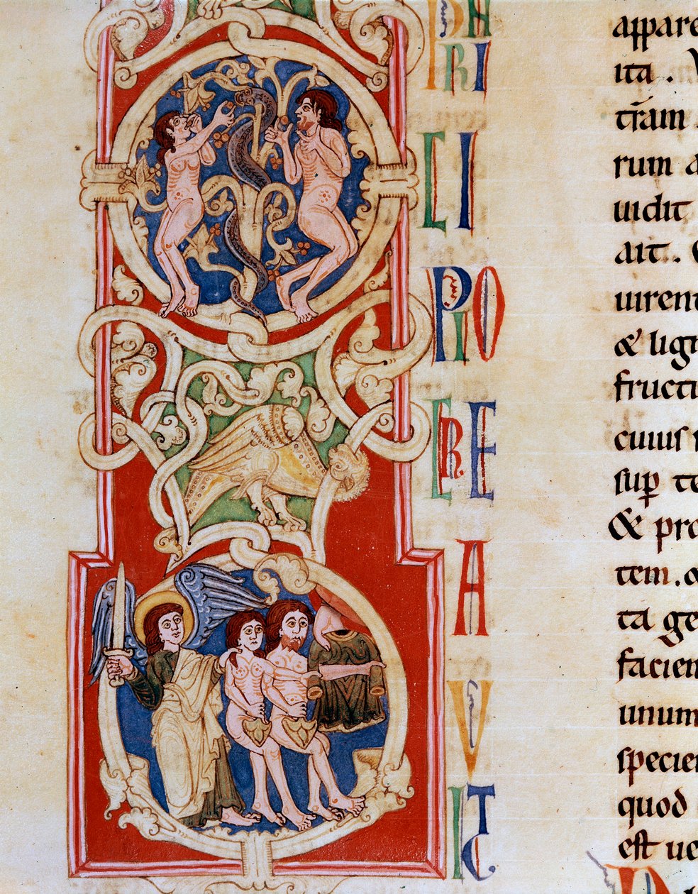 Adam and Eve near the Tree of Knowledge, below they are hunted from the Miniature Paradise taken from “The Old Testament”” from the Monastery of Santa Cruz in Coimbra in Portugal. 12th century Porto, municipal library 作者 葡萄牙语学校