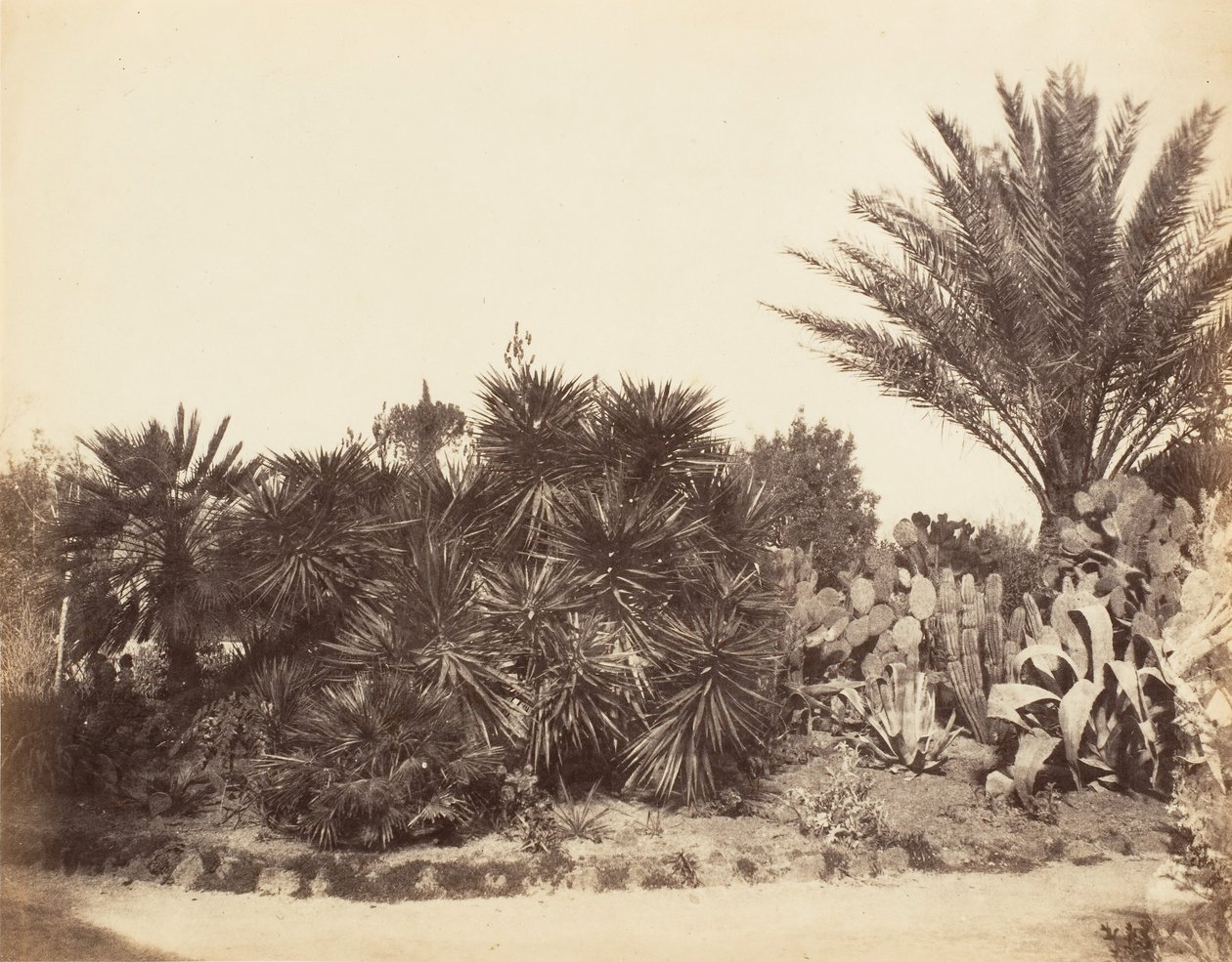 平西亚花园，罗马，1853-56。 作者 可能由 Jane Martha St. John 撰写。