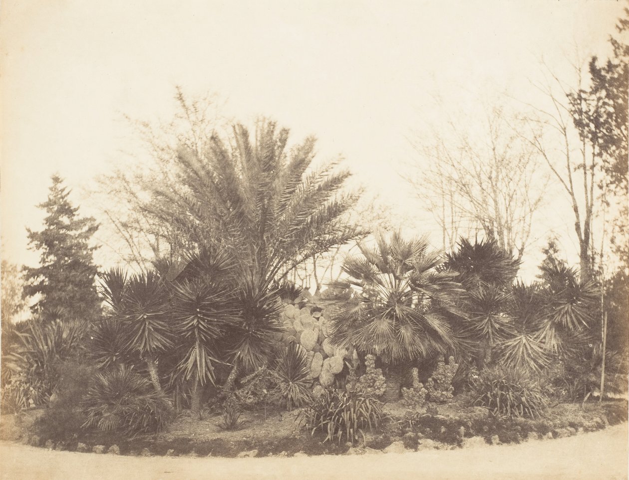 平西亚花园，罗马，1853-56。 作者 可能由 Jane Martha St. John 撰写。