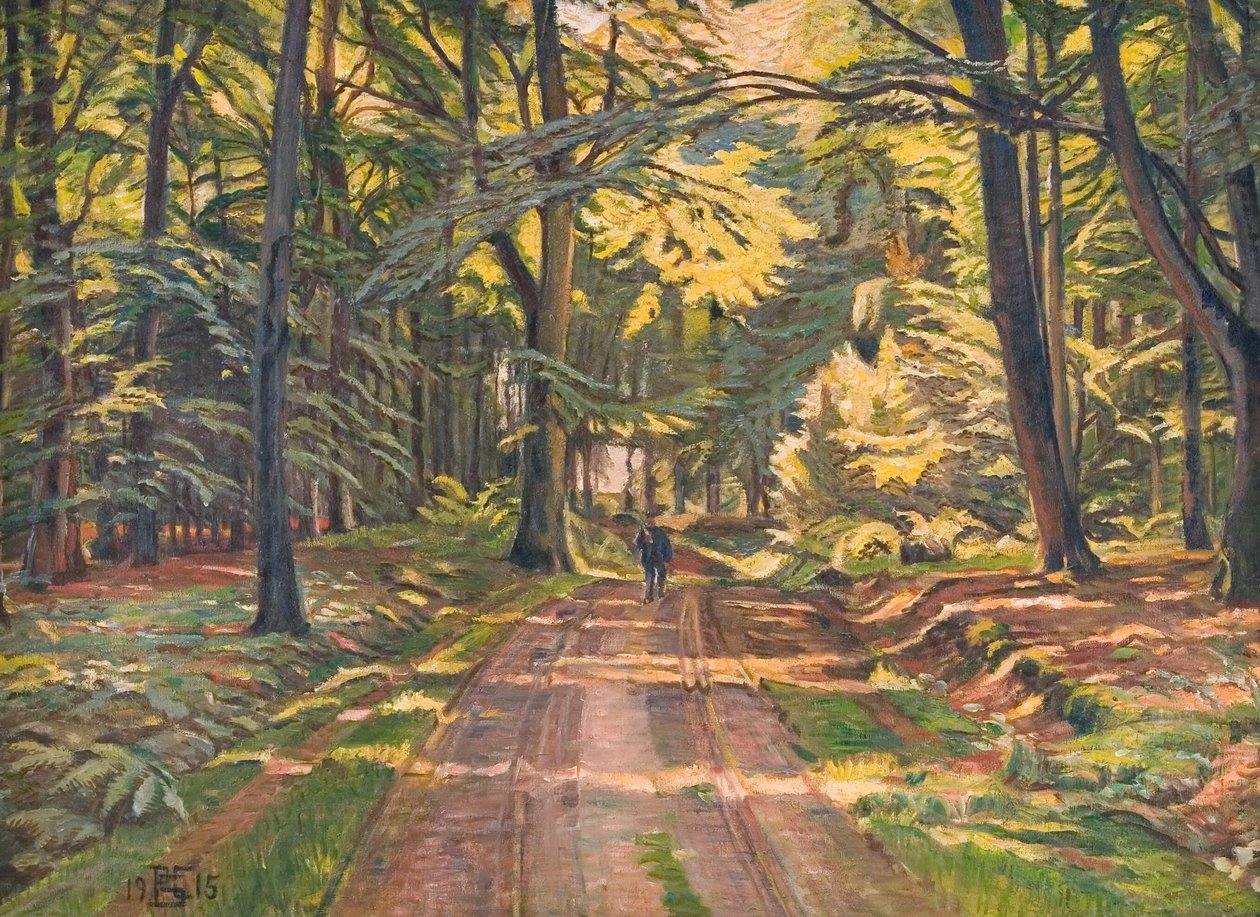 Dyrnæs 的森林道路 作者 波尔·克里斯蒂安森
