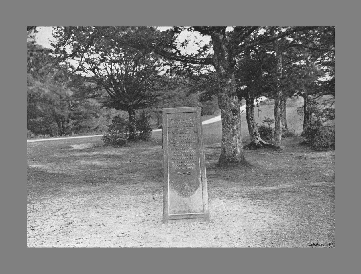 Rufus Stone，《新森林》，c1900年 作者 普尔顿公司