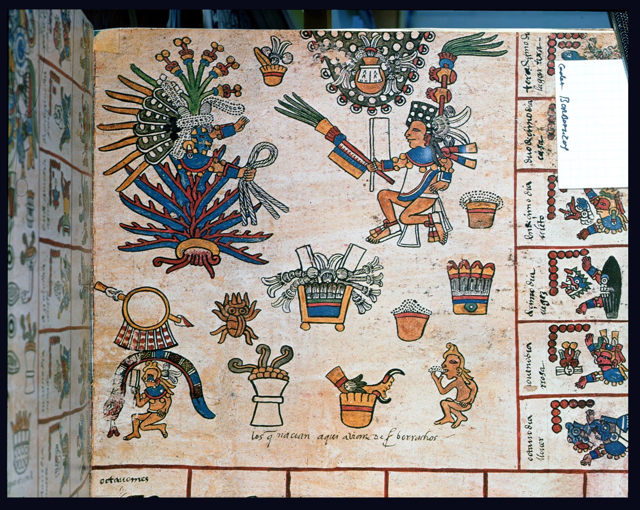 Aztec Codex Borbonicus，&39;Tonalamatl&39;，细节描绘坐在龙舌兰植物上的女神Mayahuel 作者 前哥伦比亚