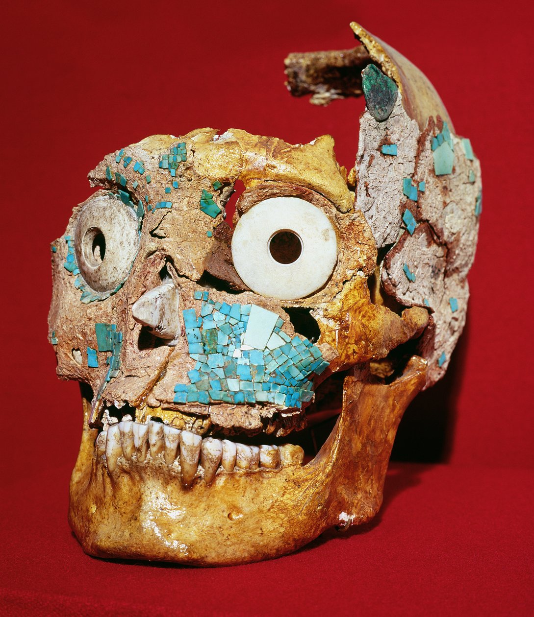 骷髅装饰着绿松石和象牙色的马赛克，Mixtec，来自Tomb 7，Monte Alban，1300-1450 作者 前哥伦比亚