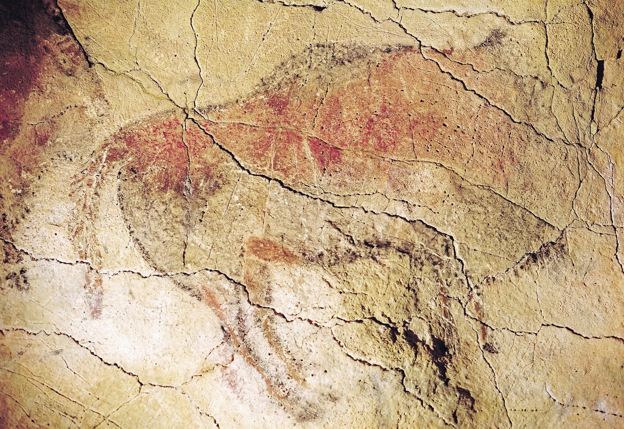 来自阿尔塔米拉洞穴的野牛，公元前15000年（洞穴壁画） 作者 史前