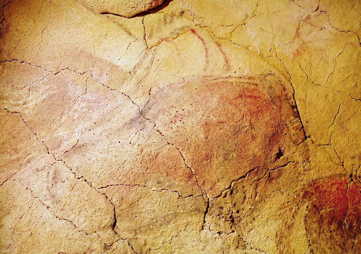 北美野牛，来自阿尔塔米拉的洞穴，公元前15000年（洞穴绘画） 作者 史前