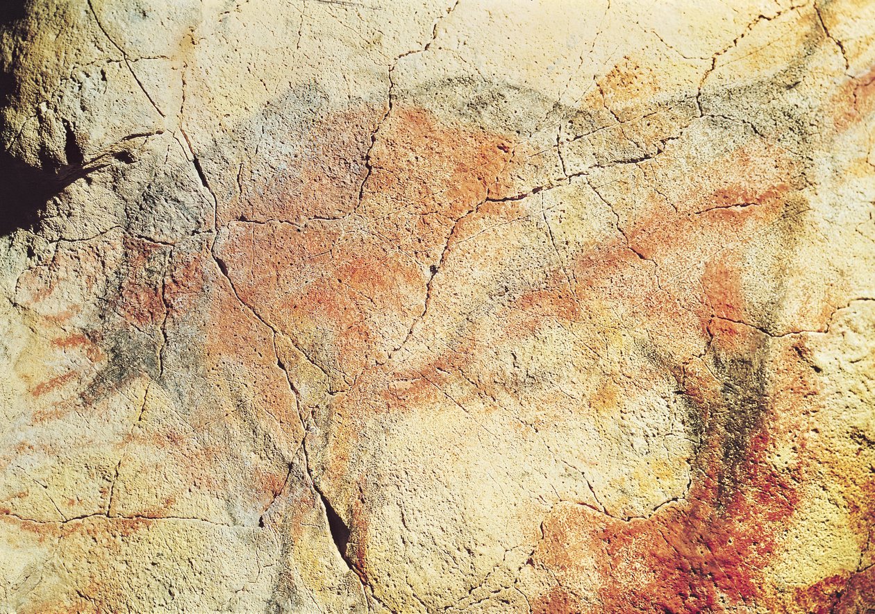 北美野牛，来自阿尔塔米拉的洞穴，公元前15000年（洞穴绘画） 作者 史前