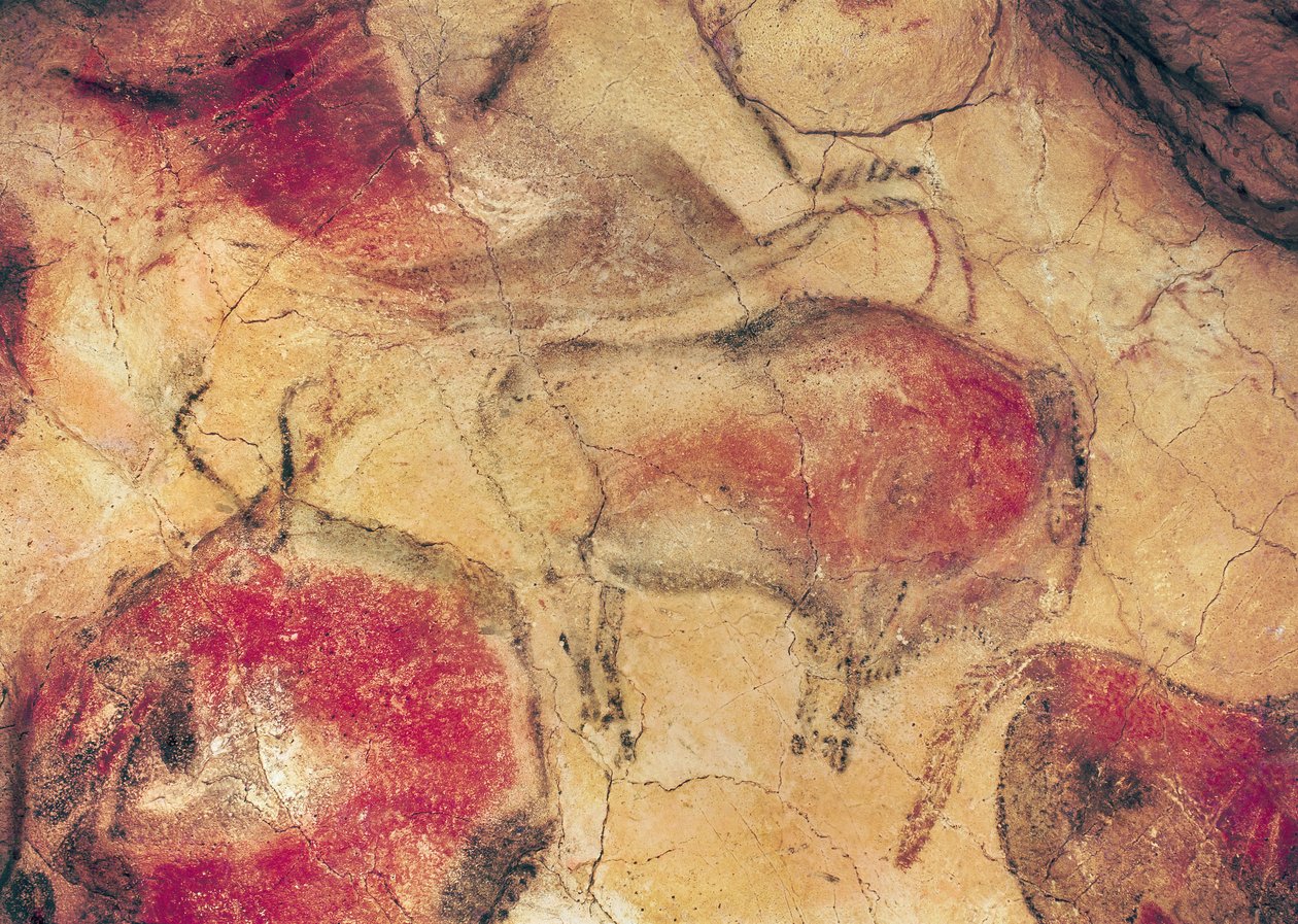 Bisons，来自阿尔塔米拉的洞穴，公元前15000年（洞穴绘画） 作者 史前