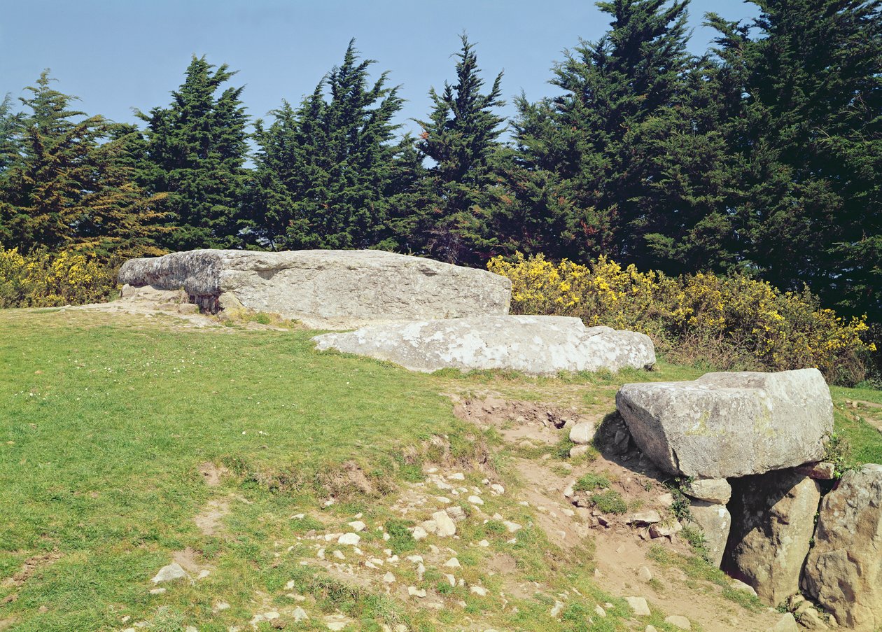 Dolmen，Dol-ar-March&39;hadourien（交易者的表）巨石 作者 史前