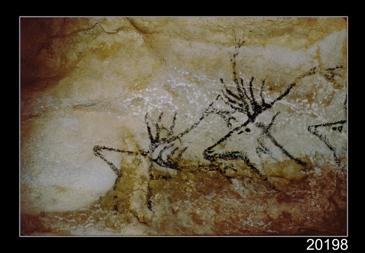鹿的弗里兹，公元前17000年 作者 史前