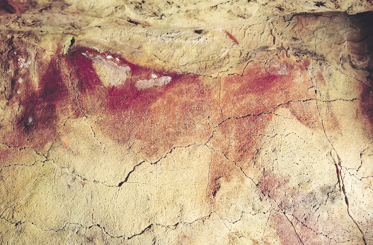 动物的代表，公元前15000年（洞穴绘画） 作者 史前