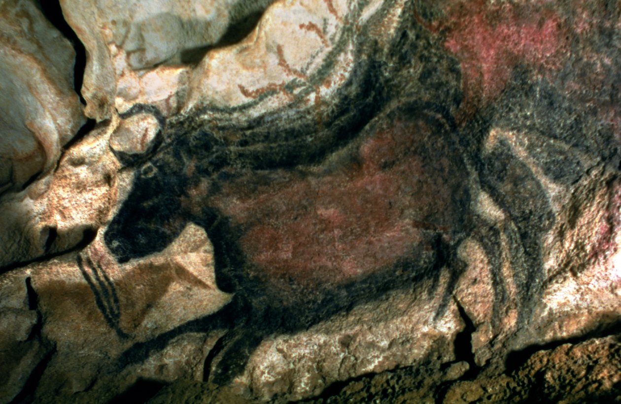 黑公牛的岩画，公元前17000年（洞穴绘画） 作者 史前