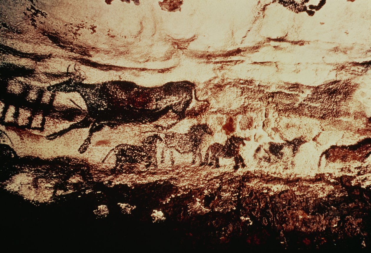 公元前17000年（洞穴绘画）的一头跳跃的牛和一匹小马楣的岩画 作者 史前