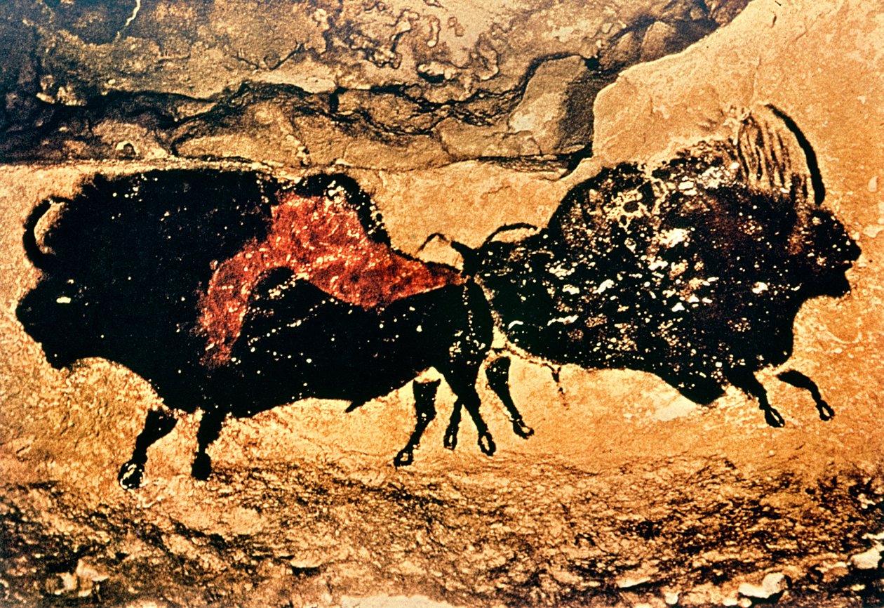 北美野牛的岩画，公元前17000年（洞穴绘画） 作者 史前