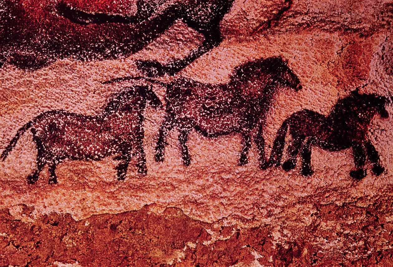 公元前17000年（洞穴绘画）的tarpans（小马）岩画 作者 史前