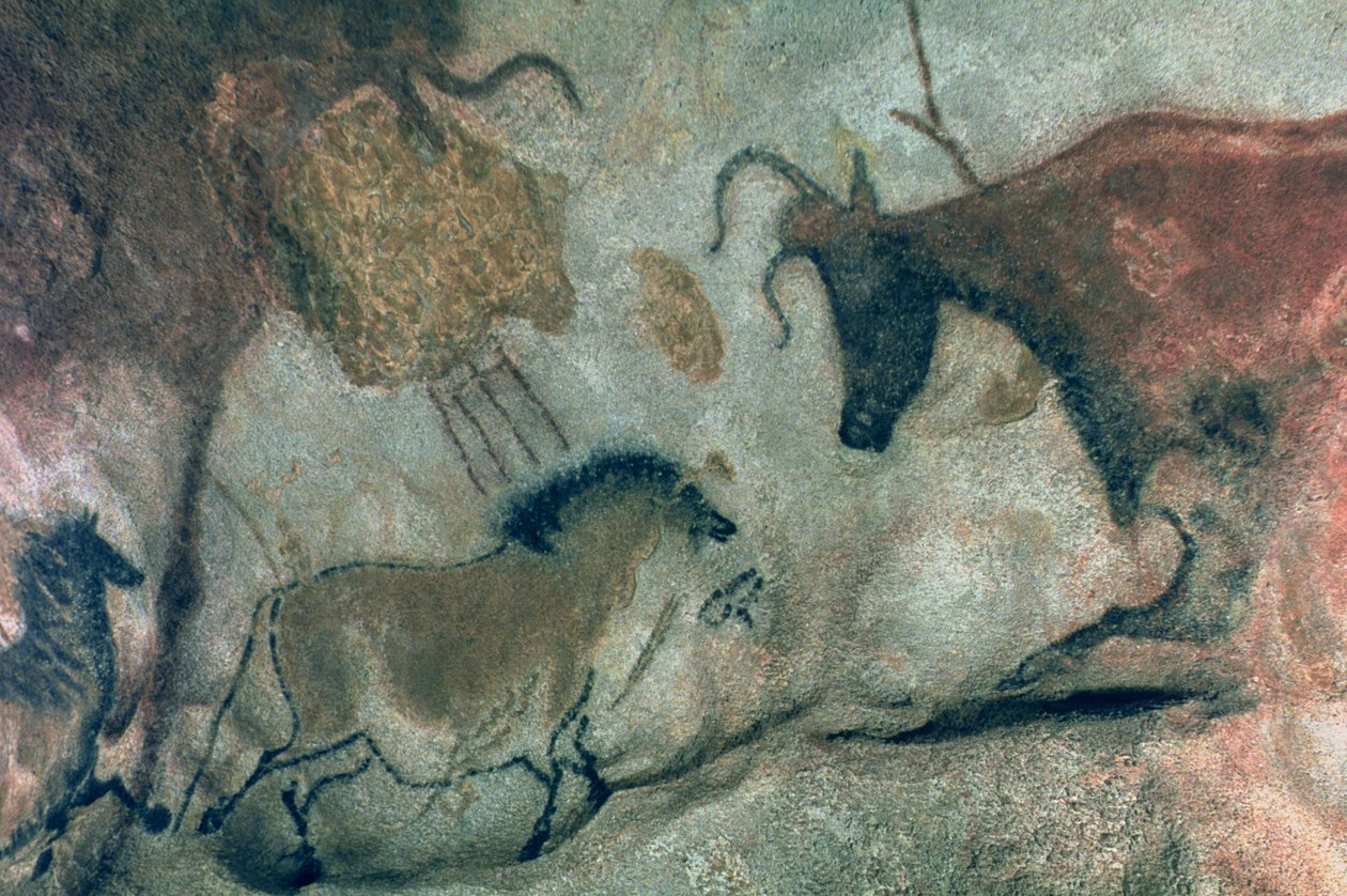 岩画，展示一匹马和一头母牛，公元前17000年（洞穴绘画） 作者 史前