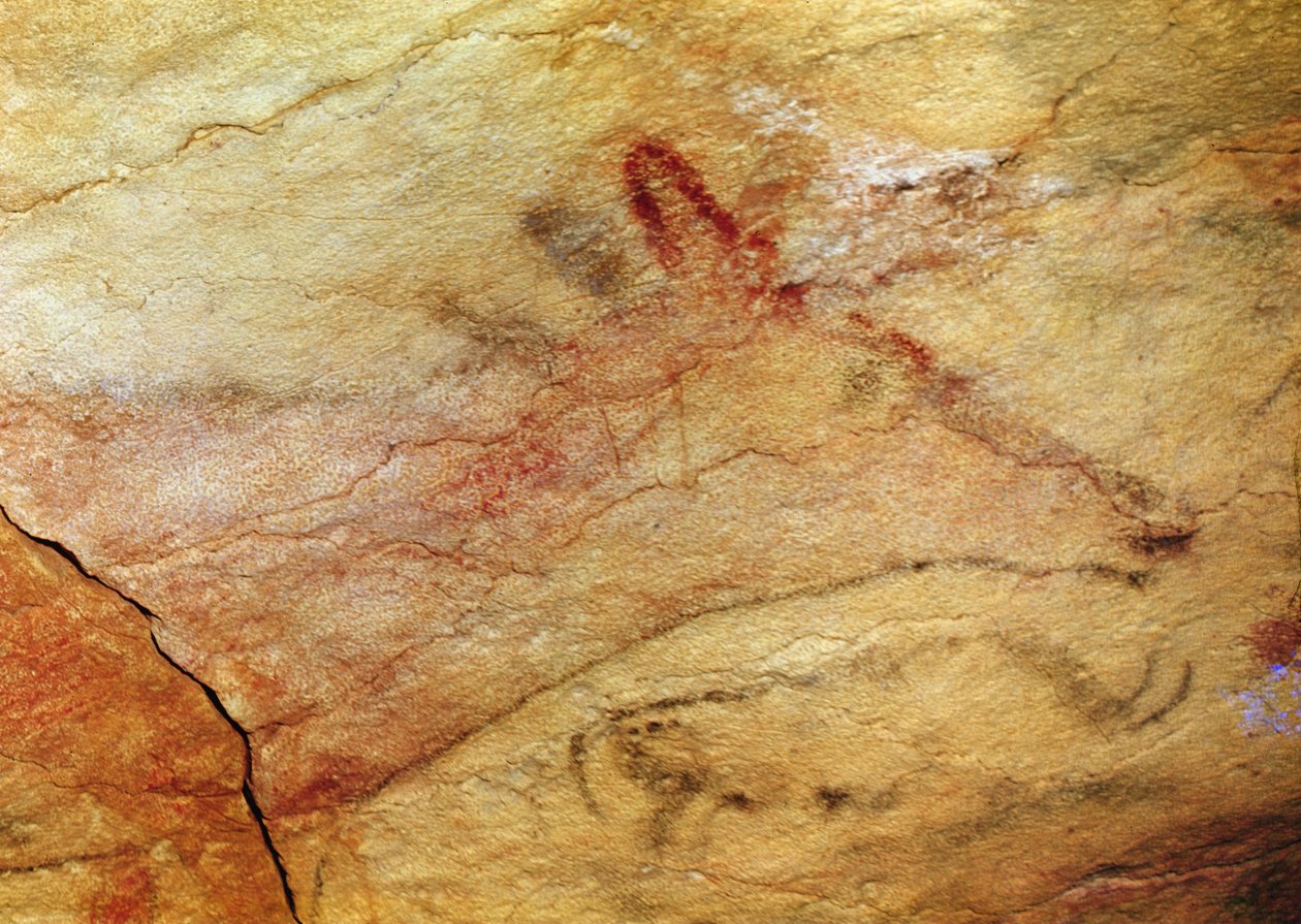来自阿尔塔米拉洞穴的雄鹿，公元前15000年（洞穴绘画）（细节42412） 作者 史前