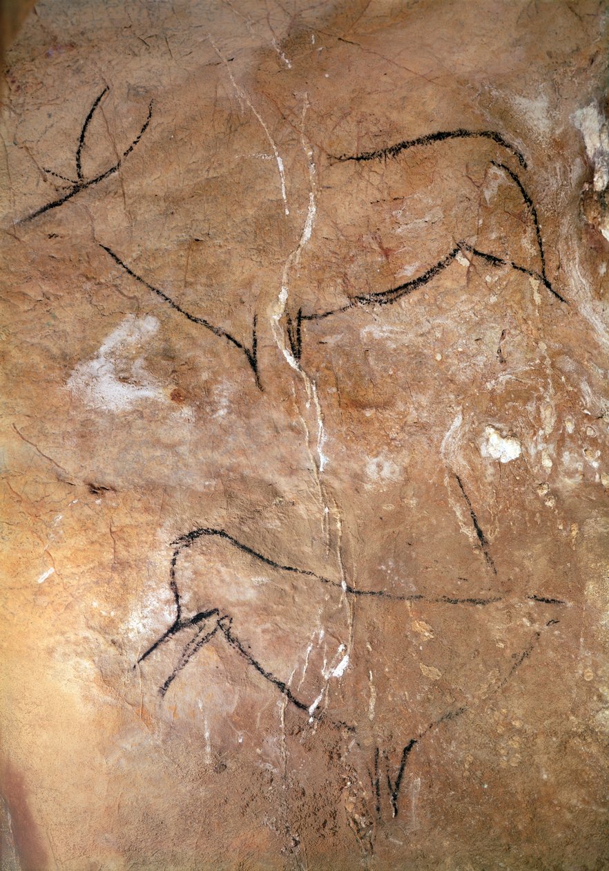 两只雄鹿，来自阿尔塔米拉洞穴，公元前15000年（洞穴壁画） 作者 史前