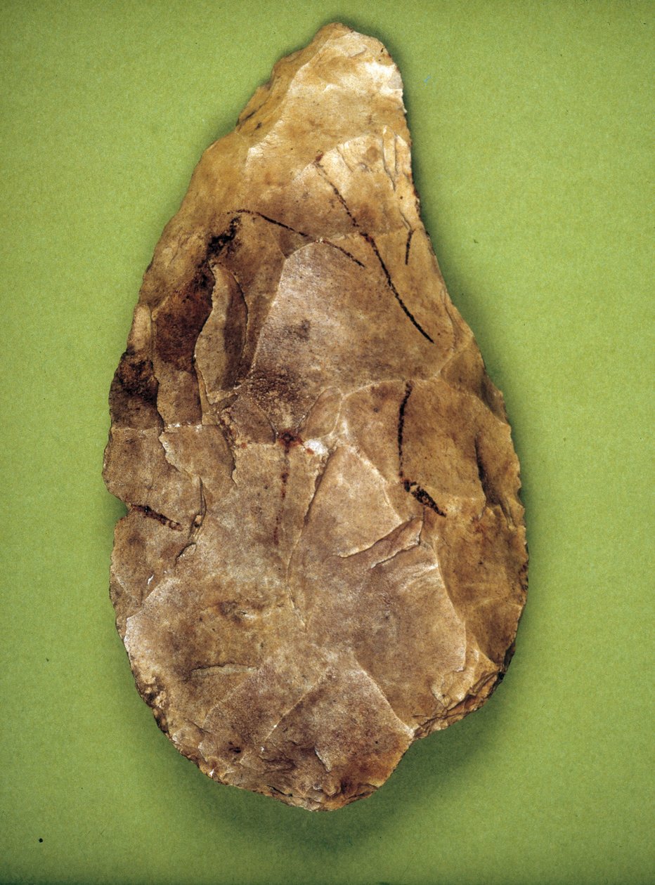 Acheulean 抛光机（旧石器时代中期）米兰考古博物馆 作者 史前史前