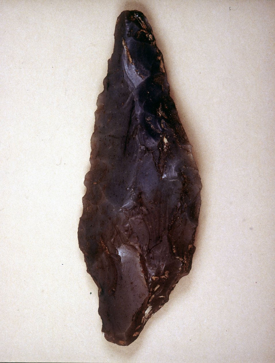Arrows point in flint. Varèse. Museo archeologico de Milan 作者 史前史前