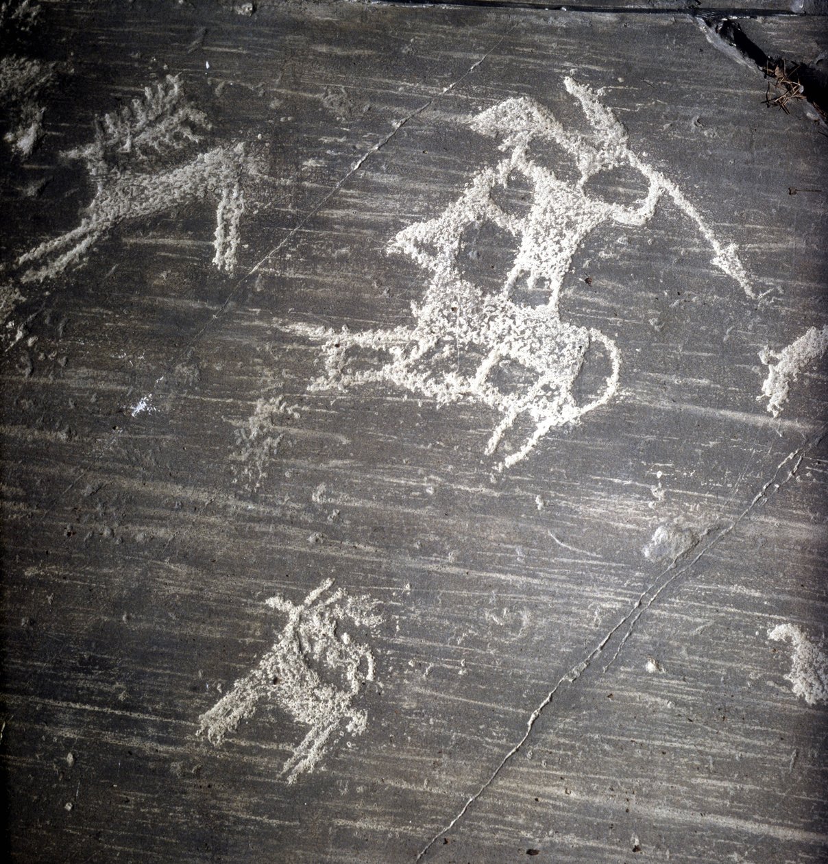 Camunni civilization, Prehistory, rock art: grave rock, representing hunters and deer. Rocher de Naquane, in Valcamonica (Val Camonica) 作者 史前史前