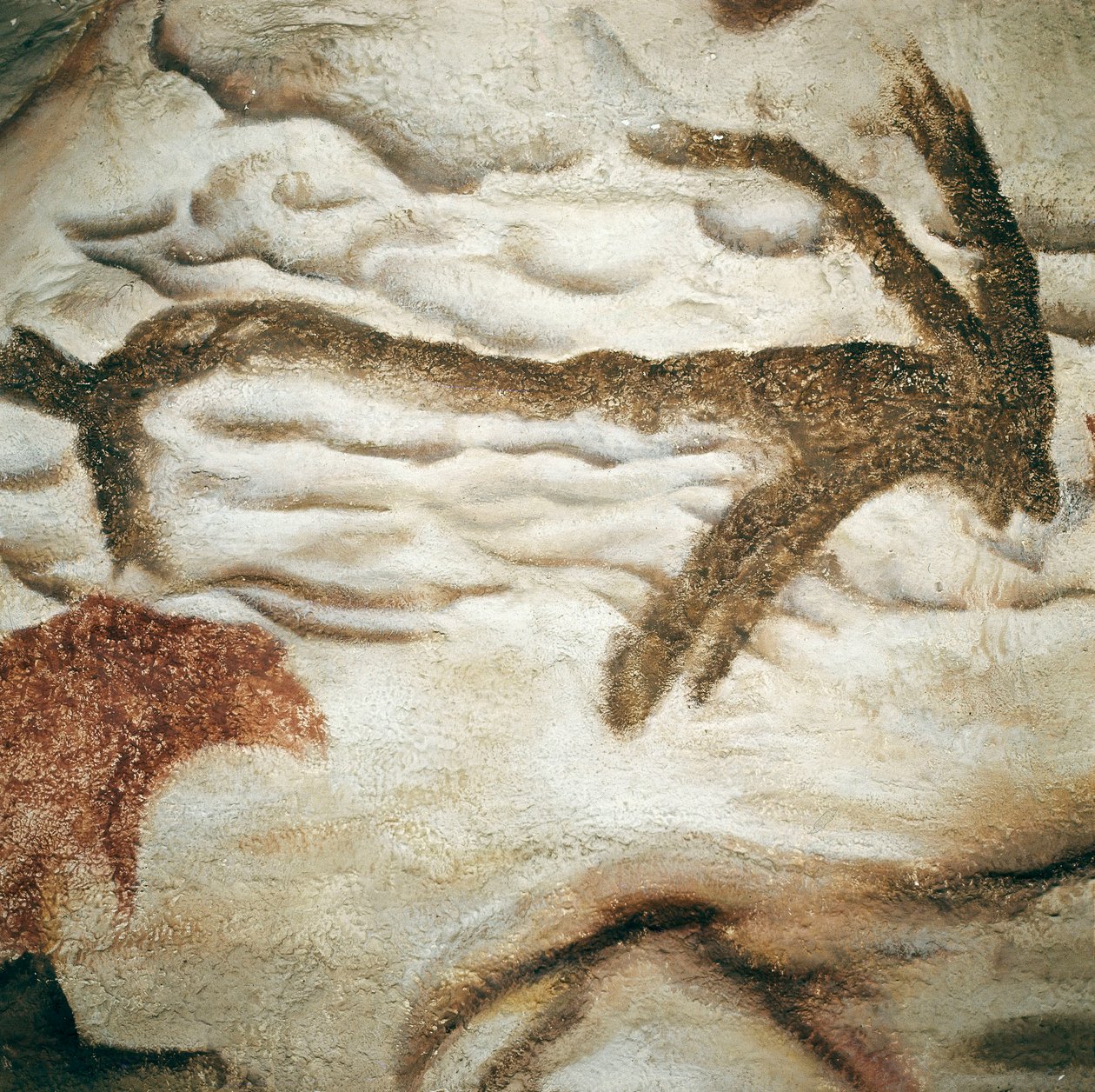 Cervid rock painting, Cave de Lascaux, Dordogne, France, Upper Paleolithic (Magdalenian) c. 13000 years ago (painting) 作者 史前史前