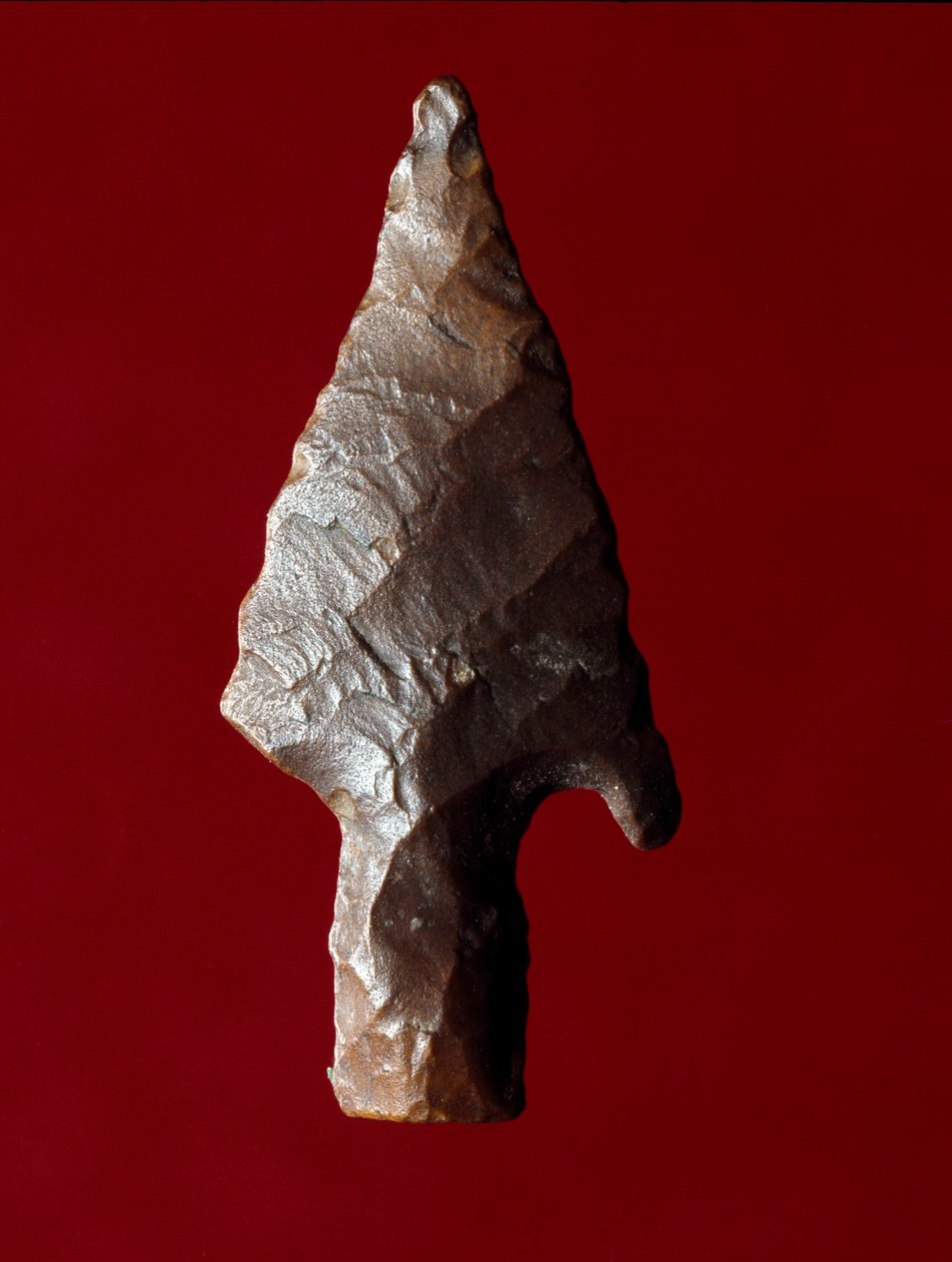 埃及古董：来自埃及法尤姆 (Fayyum 或 Fayum) 遗址的箭尖。 前王朝时期。 Verone，Museo Civico di Storia Naturale，意大利 作者 史前史前