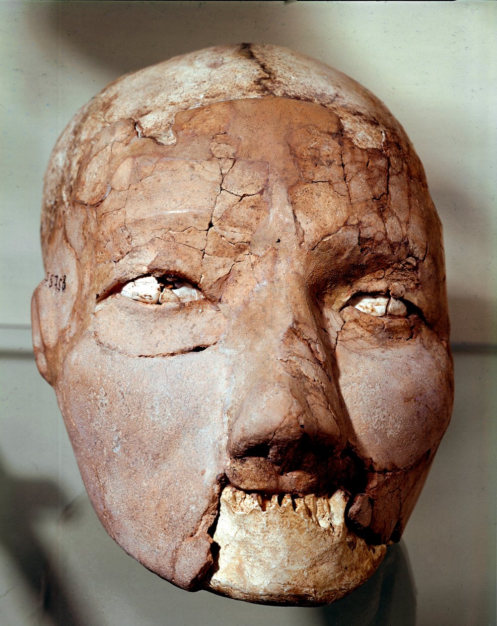 新石器时代艺术：可追溯到石器时代（公元前 6000-4000 年）的人类头骨。 来自约旦安曼考古博物馆杰里科 作者 史前史前