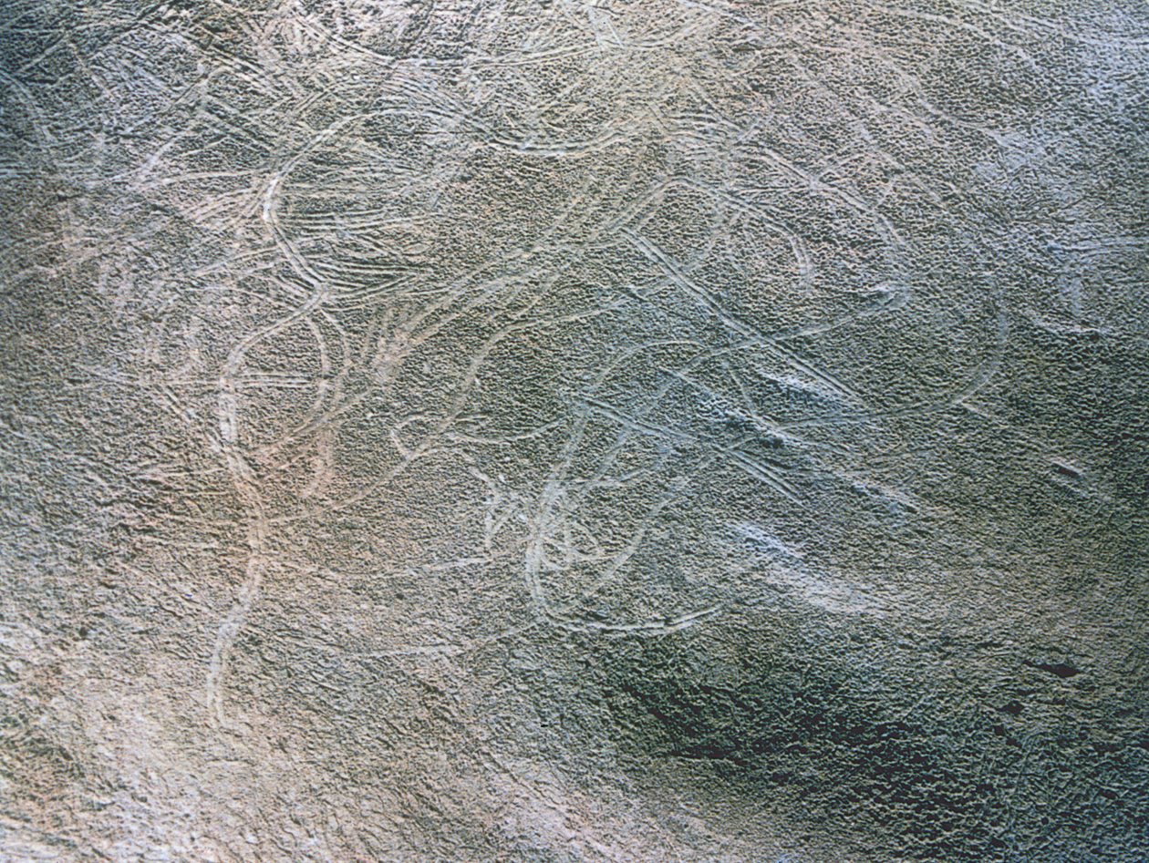 人类女性形象和猛犸象的轮廓图像，旧石器时代（约公元前 40000-12000 年）（照片） 作者 史前史前