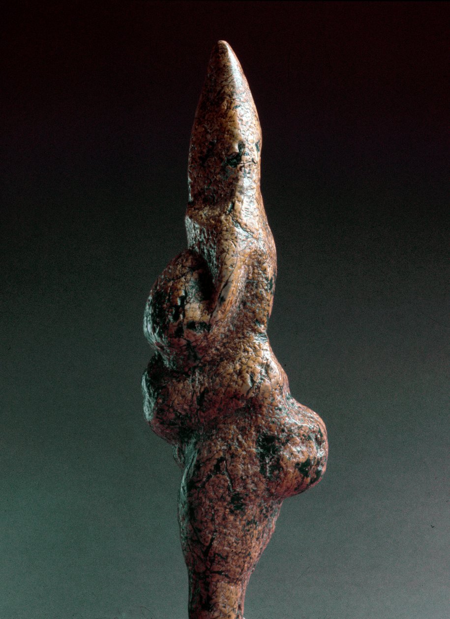 史前史：维纳斯·德·萨维尼亚诺（Venus de Savignano），1925 年在 Savignano sul Panaro 发现的拟人石刻雕塑。 旧石器时代晚期，石器时代高度：22 厘米。 Museo Nazionale Preistorico Etnografico Luigi Pigorini（史前史和民族志博物馆），意大利罗马。 作者 史前史前