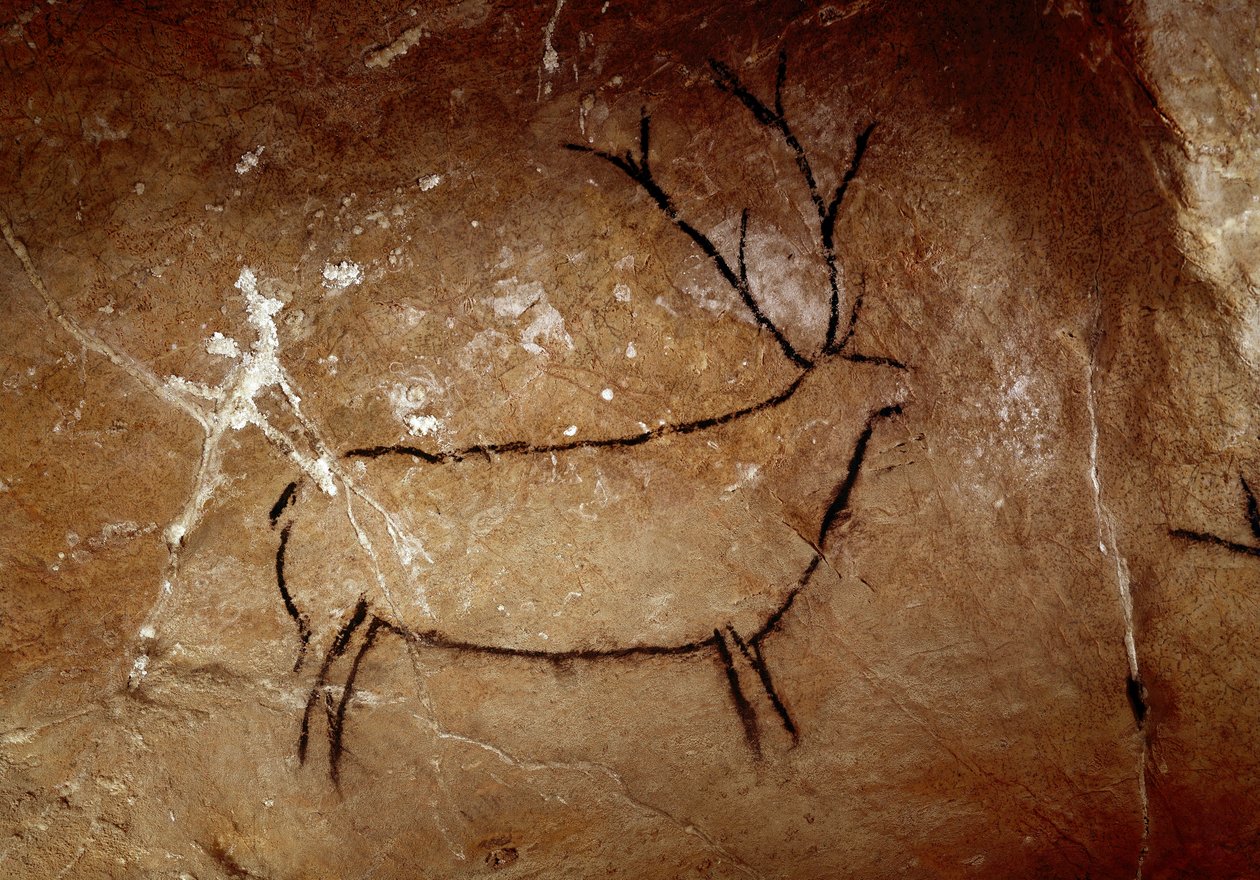 Prehistory : a deer. Upper paleolithic cave painting (Magdalenian) (16,500 and 14,000 years ago). Age of stone. Cave of Las Chimeneas, Monte Castillo, Spain 作者 史前史前
