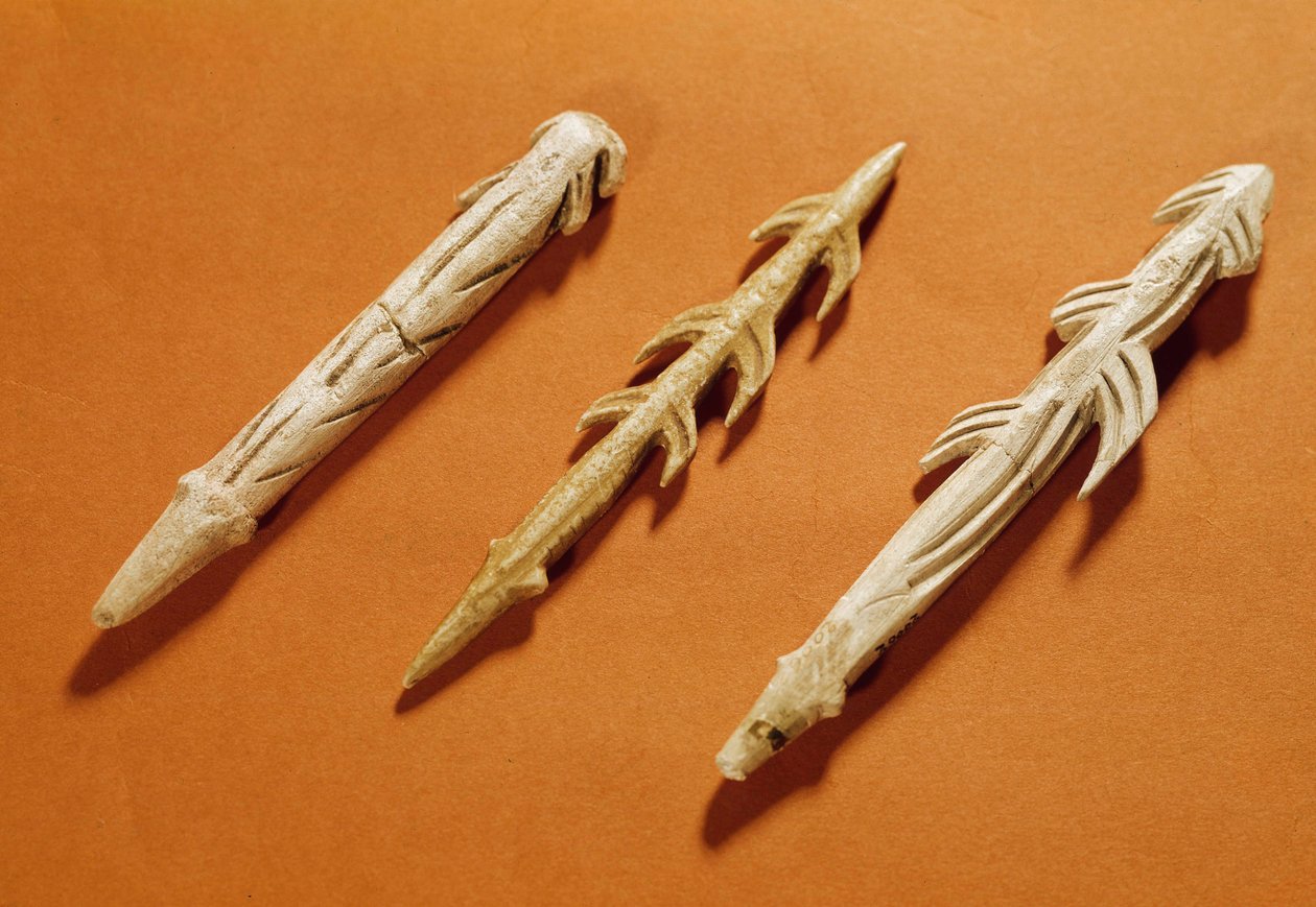 史前史：驯鹿鱼叉用于捕鱼。 在抹大拉时期实现。 公元前 17000-11000 年。 Saint Germain en Laye，国家考古博物馆 作者 史前史前