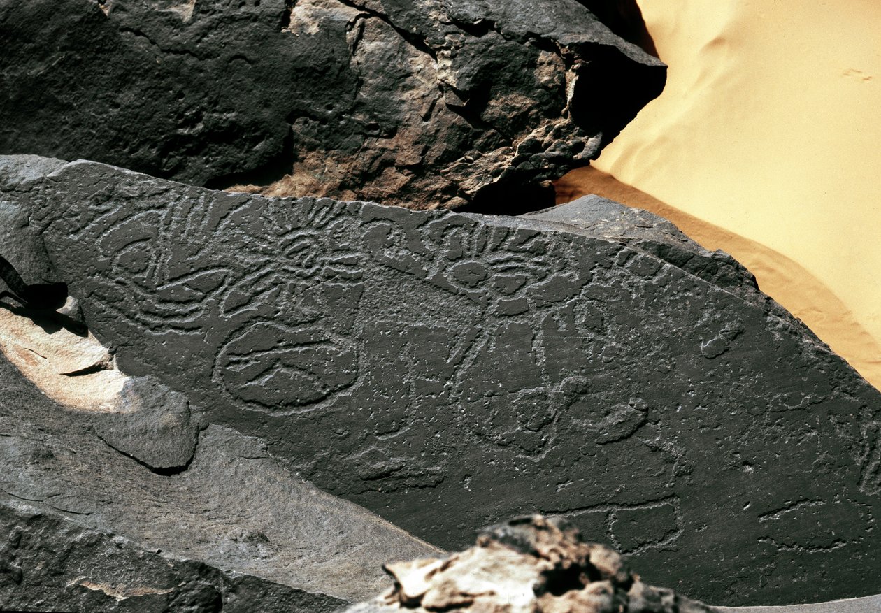 史前史，岩石艺术：Tazina 风格的坟墓岩石。 石器时代 5000-2000 BC。 Taghit，Haut 高原 du Hoggar (Ahaggar)，阿尔及利亚 作者 史前史前