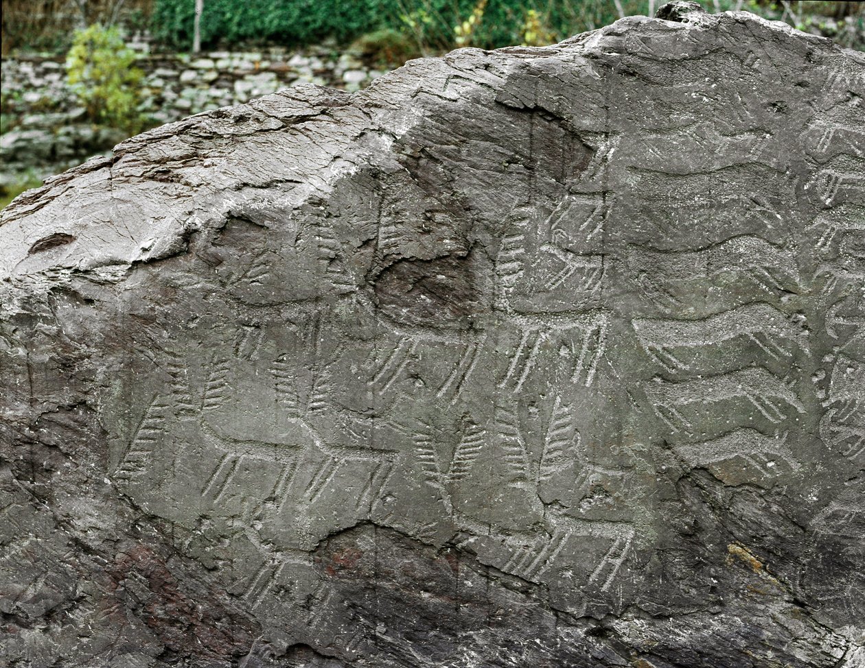 史前史，岩画：代表鹿、牛的墓碑。 铜时代。 石器时代（chalcolithic）。 罗氏没有。 1. Cemmo (Brescia) 意大利 Cemmo 巨石国家考古公园 作者 史前史前