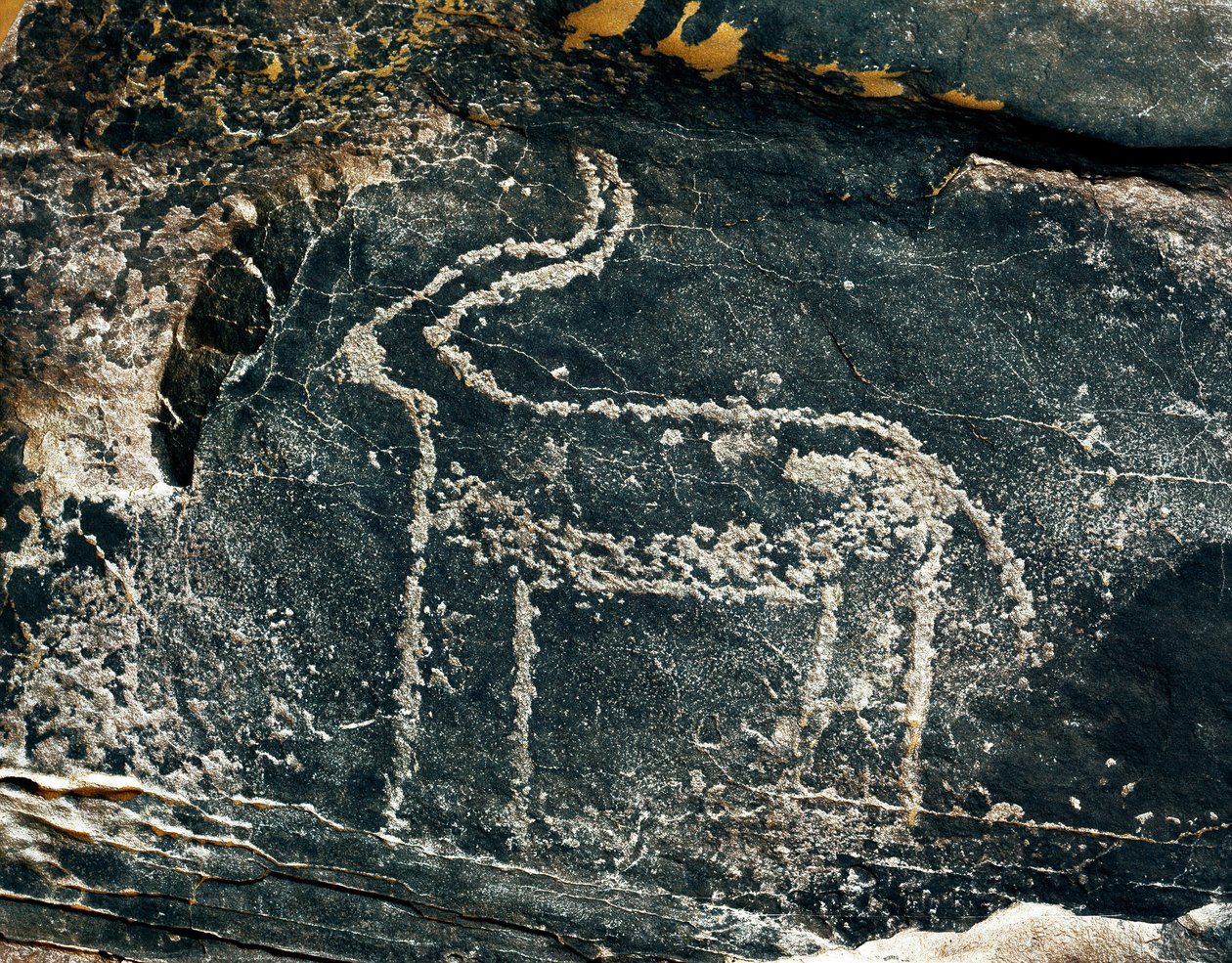 史前，岩画：表现羚羊的墓岩。石器时代，公元前5000-2000年。阿尔及利亚Haut plateau du Hoggar (Ahaggar), Taghit. 作者 史前史前